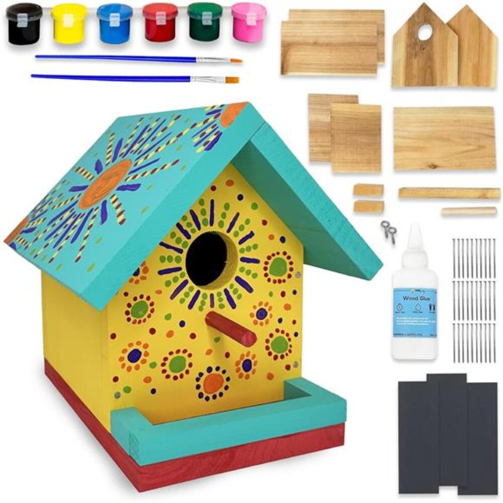 Jr Bird House Kit | DIY Birdhouse Kits Made of Cedar Wood for Outdoors |